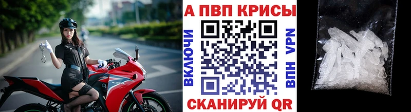 Alfa_PVP СК  Котлас 