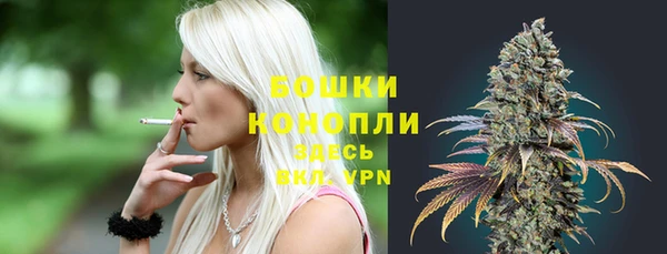 эйфоретик Пересвет