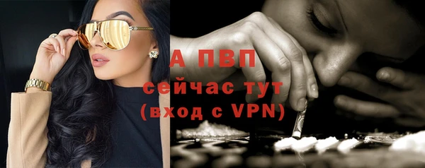 эйфоретик Пересвет