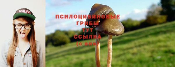 эйфоретик Пересвет