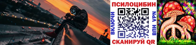 Галлюциногенные грибы Psilocybine cubensis  МЕГА как зайти  Котлас 