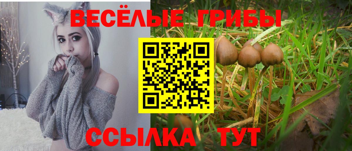 Галлюциногенные грибы ЛСД Котлас