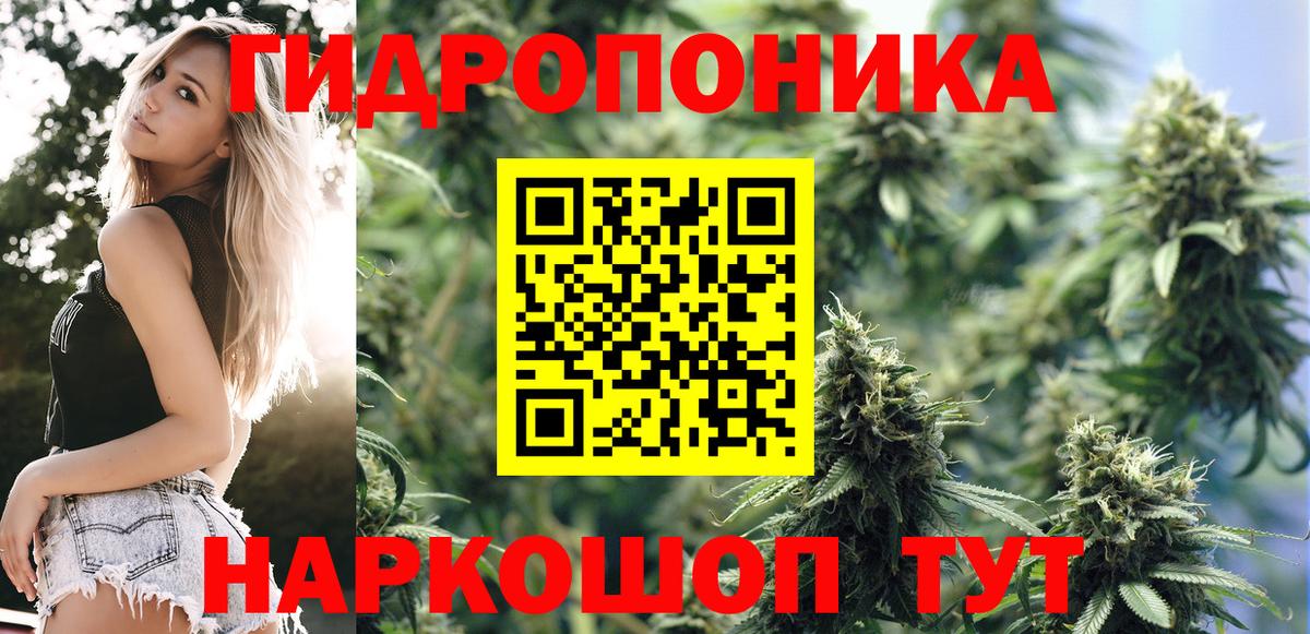 Канабис THC 21% Котлас